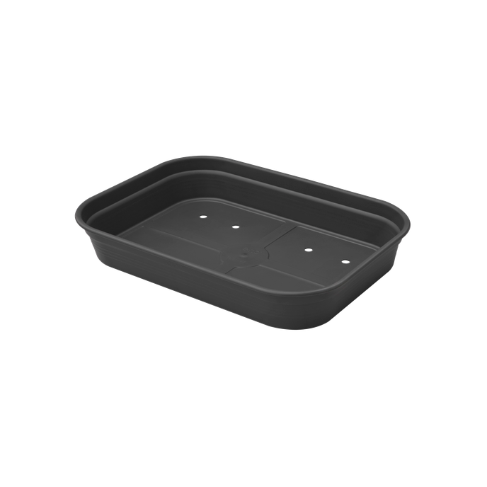 green basics anzucht schale m living schwarz